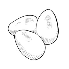 Egg handdrawn illustration