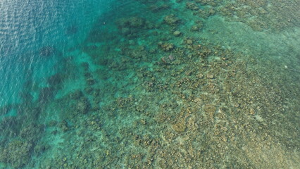 aerial view of coral reef with blue sea