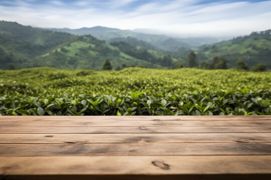 Top of surface wooden table with blurred green tea plantation background.