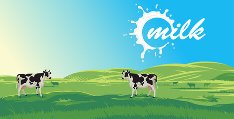 cow farm producing natural milk in the background of beautiful scenery  © Steven Mink