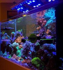 Marine aquarium