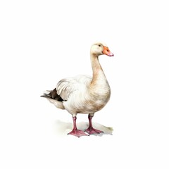 AI generated illustration of A vibrant watercolor painting depicting an Egyptian goose