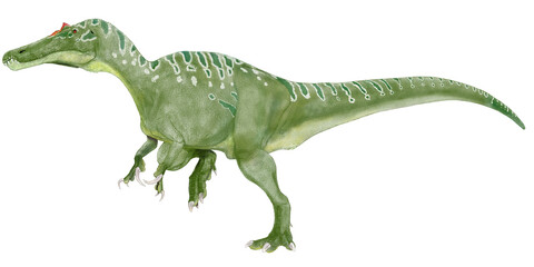 リパロヴェナトル、川岸のハンターはケラトスコプスと同時期に英国南部のワイテ島の同地域で発見され、2021年にともに記載された。バリオニクス亜科のスピノサウルス類



