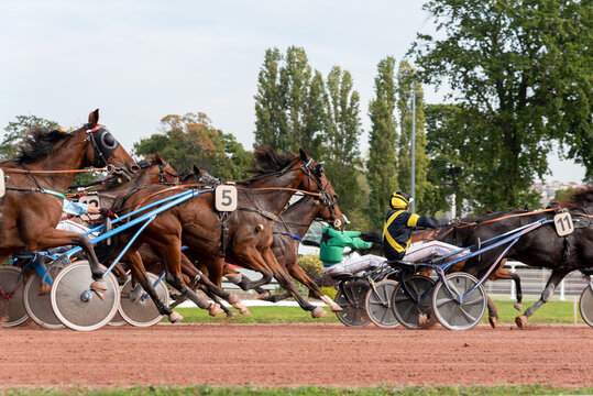 Course de trot attel&eacute;. Quint&eacute; +. 