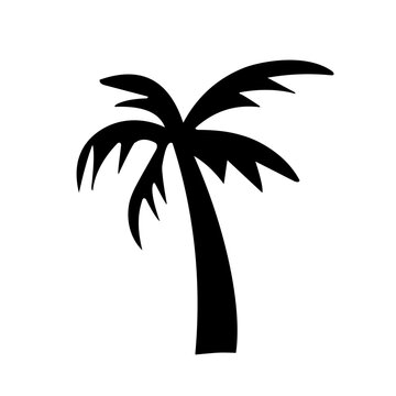 coconut tree silhouette