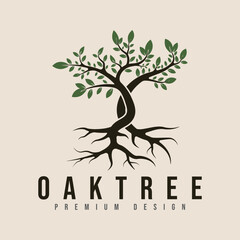 Obraz premium vintage oak tree logo vector minimalist illustration design.