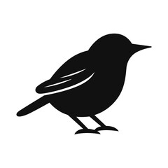 Simple Icon Illustration of Dipper Bird in Trendy Flat Isolated on White Background. SVG Vector