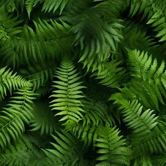 Fototapeta na wymiar AI generated illustration of a green fern background for wallpapers