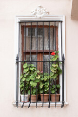 a wooden window with potted flowers with iron bars