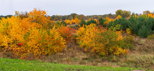 Eine wunderschöne bunte Herbstlandschaft