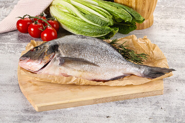 Raw dorada fish served rosemary