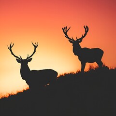 silhouette of deer deer, animal, silhouette, reindeer, nature, vector, wild, illustration, wildlife, stag, antler, animals, 
