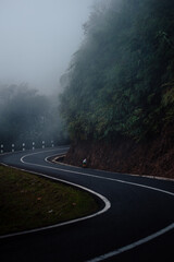 road to the fog