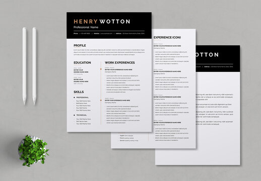 Professional Resume Template