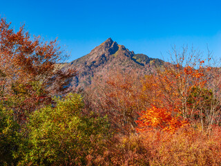 山が紅葉してきた秋の風景　愛媛県　石鎚山