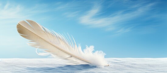 Softness embodied in a solitary plume dancing in the heavens