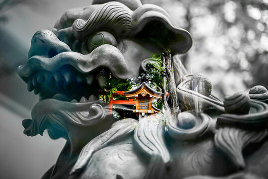 Komainu Bilder Durchsuchen 11,468 Archivfotos, und