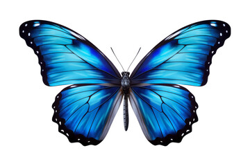 Mariposa de colores vibrante en fondo transparente.