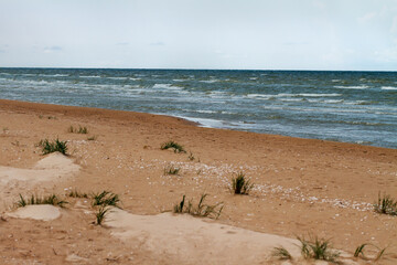 Coast of Baltic sea.