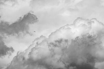squirrel-shaped cloud chases a seagull at Villajoyosa