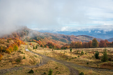 Fog and golden autumn in the Carpathians