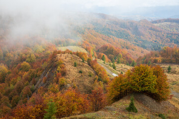 Fog and golden autumn in the Carpathians