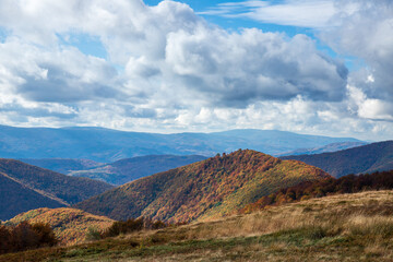 Golden autumn in the Carpathians