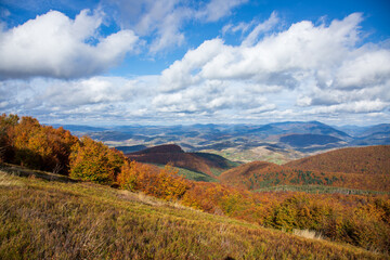 Fototapeta premium Golden autumn in the Carpathians