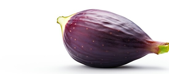 Ripe purple fig resting on a white surface