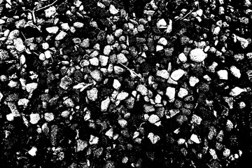 Black and white texture background