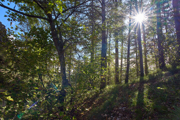 Fototapeta premium Walking path at mount Ingino near Gubbio in Umbria, Italy