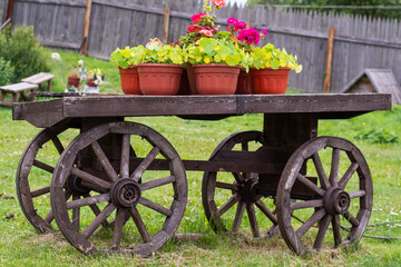 Wooden cart with flowers. There are pots with flowers on a wooden cart. Beautifully decorated territory. 