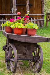 Wooden cart with flowers. There are pots with flowers on a wooden cart. Beautifully decorated territory.