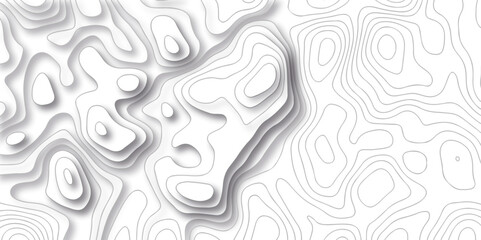 Abstract white pattern topography vector background. Abstract topographic contours map background, Black and white background. White wave paper curved reliefs abstract background. - obrazy, fototapety, plakaty