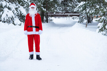 Santa Claus is stands on a snowy fairy-tale road outdoor in winter with pine trees. Celebrating...