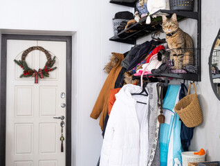 An entrance hall with outerwear on a hanger, a pet cat sitting in a basket on a shelf for hats....
