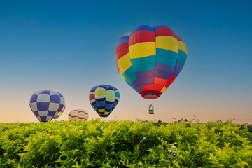 Fototapeta na wymiar Colorful hot air balloons flying over green tree on blue sky background in nation park.