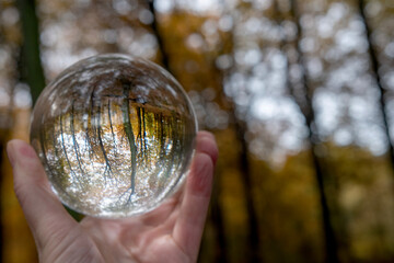 Focus on taking care of nature shown with a glass ball with Scandinavia forest nature in Autumn reflected  inside and outside the ball. A room with nature in the nature.