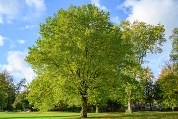 Herbstzeeit in Velen im Münsterland