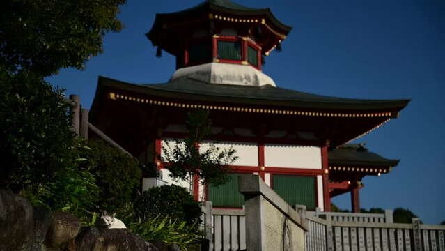 犬山成田山の猫（愛知県犬山市, 2023年10月）