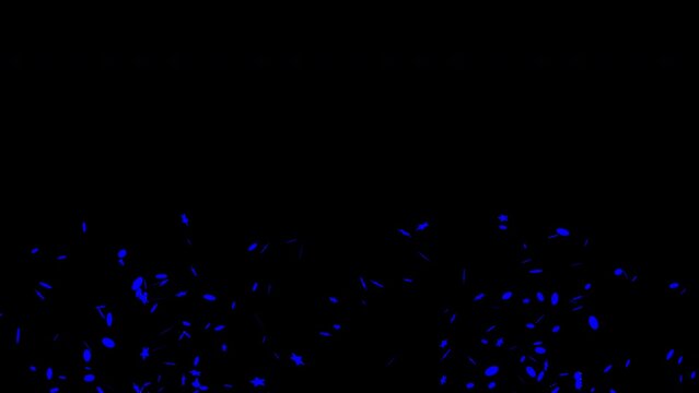 Blue confetti celebration falling on Black background