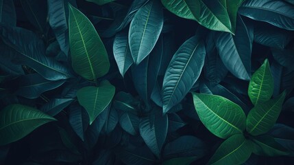 tropical leaf texture in garden, abstract green leaf nature dark green background