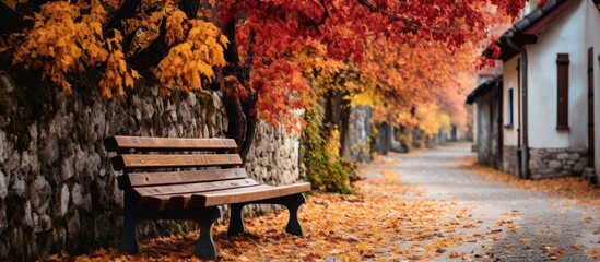 In Fussen Bavaria Germany there is an alley adorned with dried vibrant leaves where you can find an aged wooden bench amidst the autumn landscape - obrazy, fototapety, plakaty