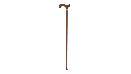 Walking cane