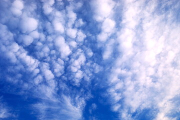 青空と雲が湧くような空模様