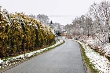 snowy winter road in the countryside with trees and snow covered ground, Poland - obrazy, fototapety, plakaty