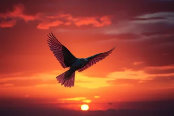 Papier Peint photo Lavable Bordeaux Eagle flying on the sunset time. 