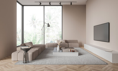 Beige living room interior with sofas and TV