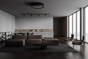 Gray living room and kitchen interior