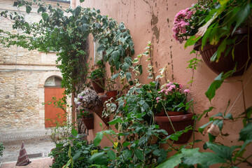 Fototapeta na wymiar Scenic view of plants in an old narrow street